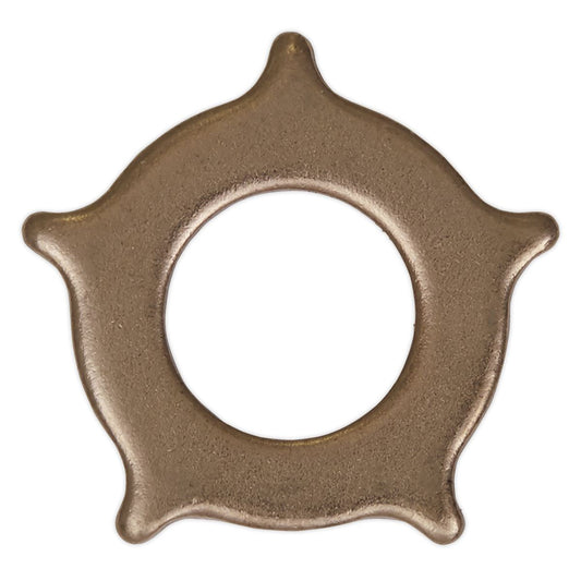 Sealey Star Washer for SR2000 Pack of 10 SR2000.SW