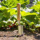 Sealey Premier Planter with Ash Handle & Stainless Steel Head GTWH008