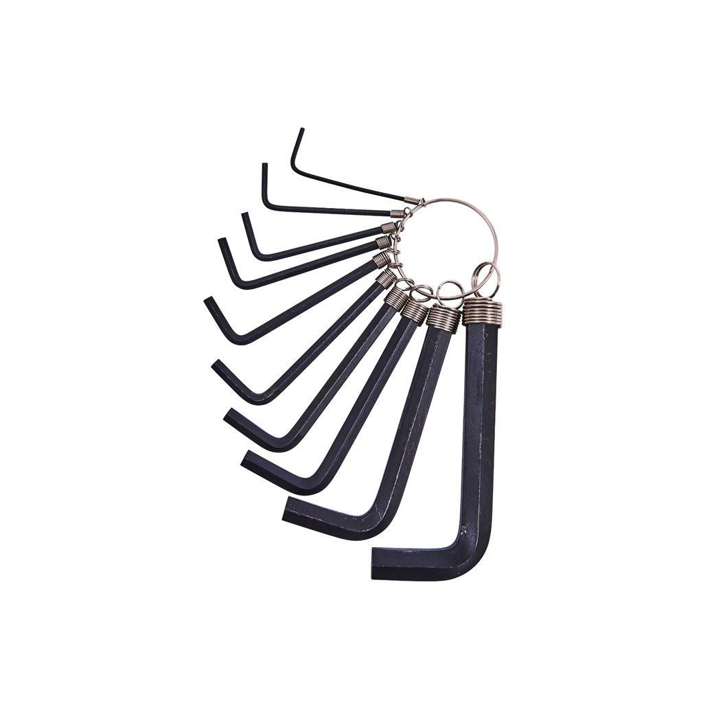 Amtech 10 Piece Hex Key Set & Keyring - I8750C