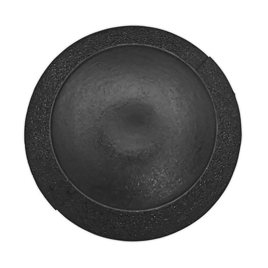 Sealey Push Rivet, 20mm x 30mm, Universal - Pack of 20 TCPR2015U