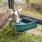 Sealey Automatic Cattle Drinking Bowl 4L AFT01
