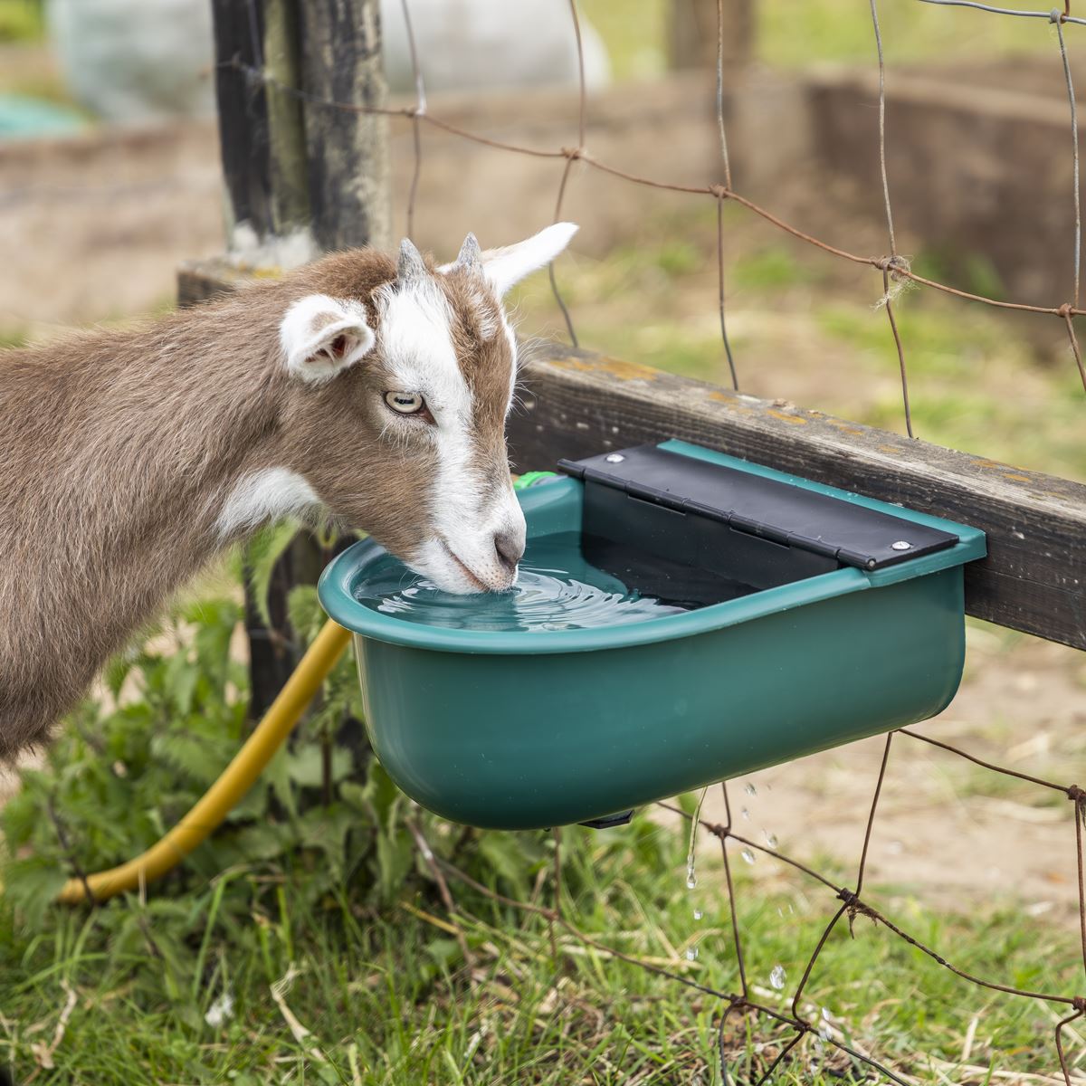 Sealey Automatic Cattle Drinking Bowl 4L AFT01