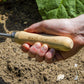 Sealey Premier  2-in-1 Hoe and Cultivator with Ash Handle, Stainless Steel Tines
