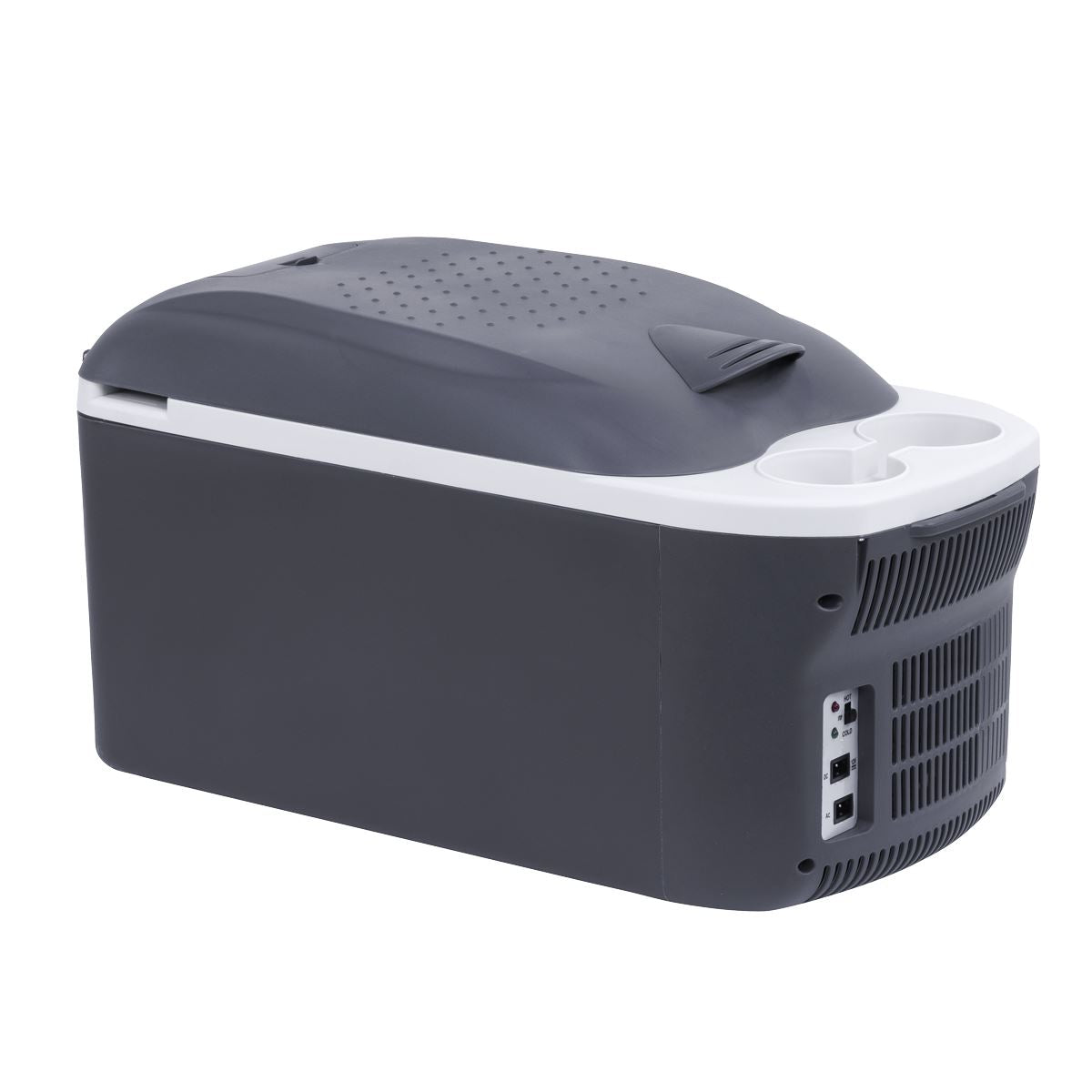 Dellonda 16L Portable Cool Box 12V/230V DL167
