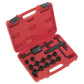 Sealey Motorcycle Brake Piston Removal Kit 14pc MS162