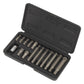 Sealey Ribe Bit & Holder Set 15pc - 3/8"Sq Drive S0871