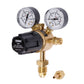 Draper Industrial Gas Bottle Regulator with Double Gauge, 300 bar WREGICO2-2G - 70147