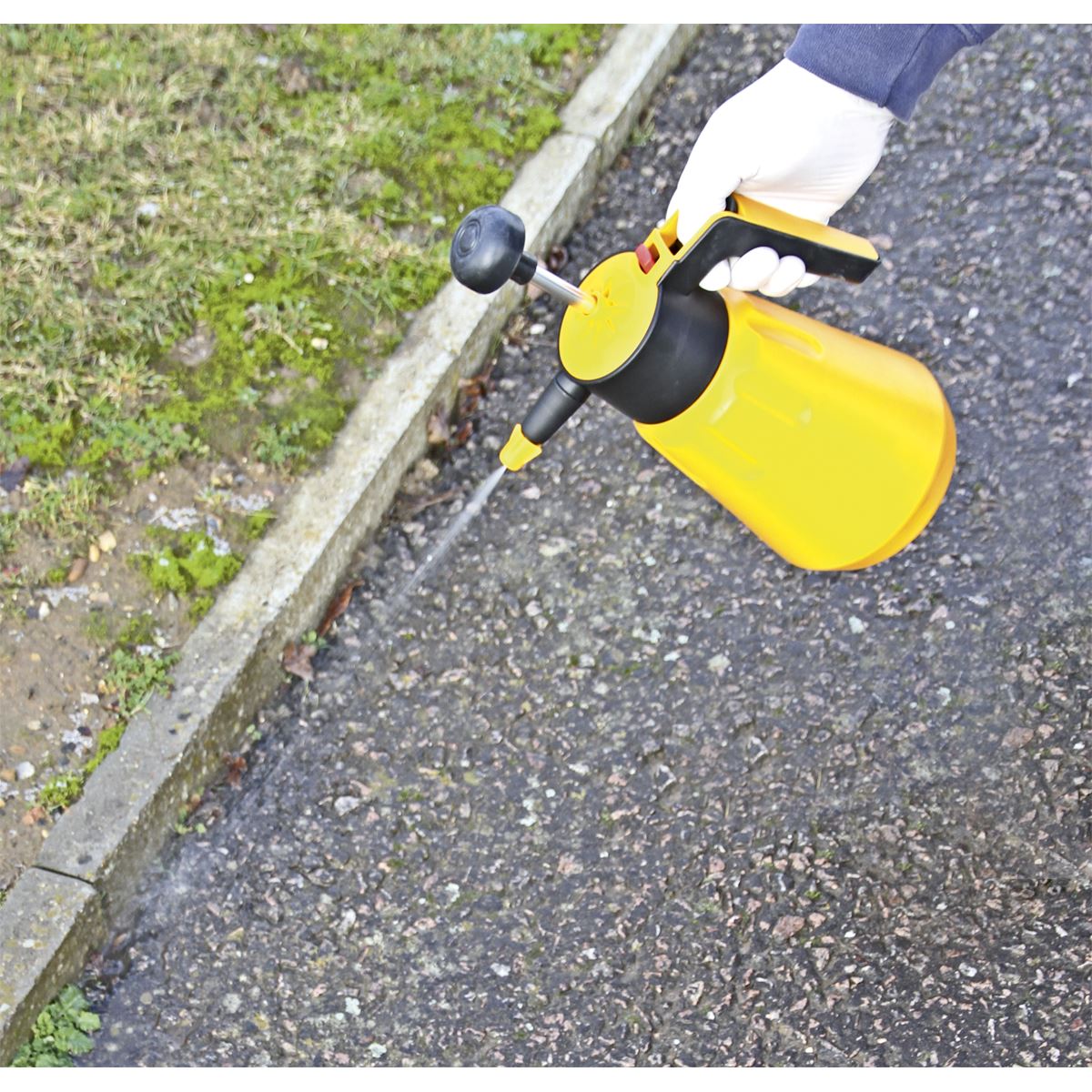Sealey Hand Pressure Sprayer 1.5L SS1