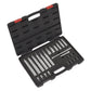 Sealey Suspension Strut Socket Set 24pc VS0332