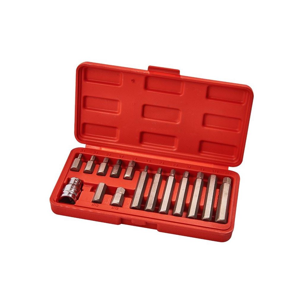 Amtech 15 Piece Hex Bit/Socket Set Long & Short Bits 4mm To 12mm In Storage Case - I8550