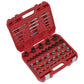 Sealey Master Nut, Bolt & Screw Extractor Set 56pc AK8156