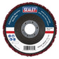 Sealey Polycarbide Abrasive Strip Disc 115 x 13 x 22mm - Red PTC/CW115R