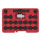 Sealey Locking Wheel Nut Key Set 22pc - BMW SX207