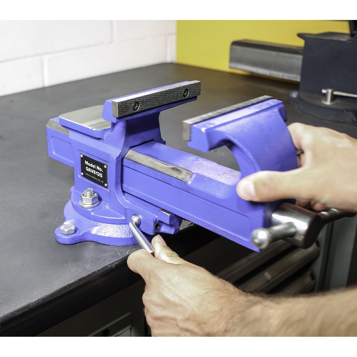 Sealey Vice 125mm Quick Action Swivel Base SG Iron QAVE125