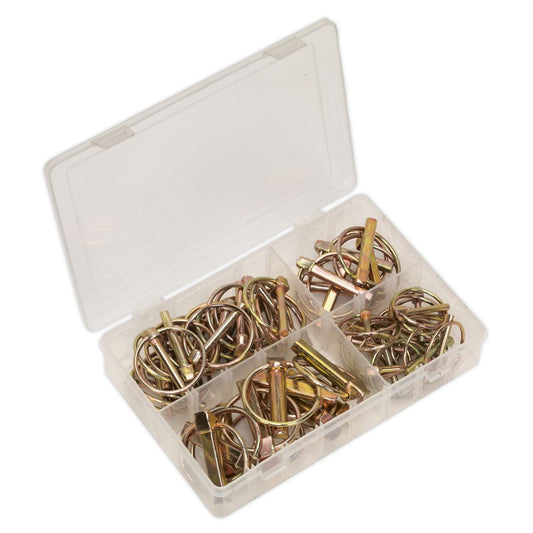 Sealey Linch Pin Assortment 50pc Metric AB022LP