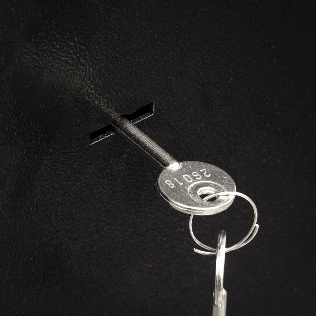 Sealey 3 Gun Cabinet SGS3