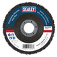 Sealey 115 x 13mm Black Polycarbide Abrasive Strip Disc 22mm Bore - Box of 10