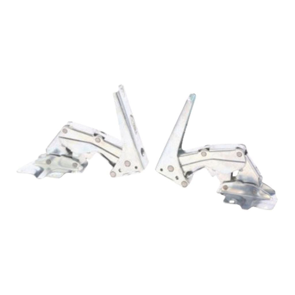 Bosch/Siemens Hinge-door 12004051