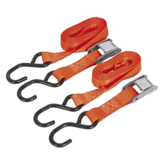 Sealey Cam Buckle Tie Down 25mm x 2.5m Poly Web 500kg Load Test TD05025CS