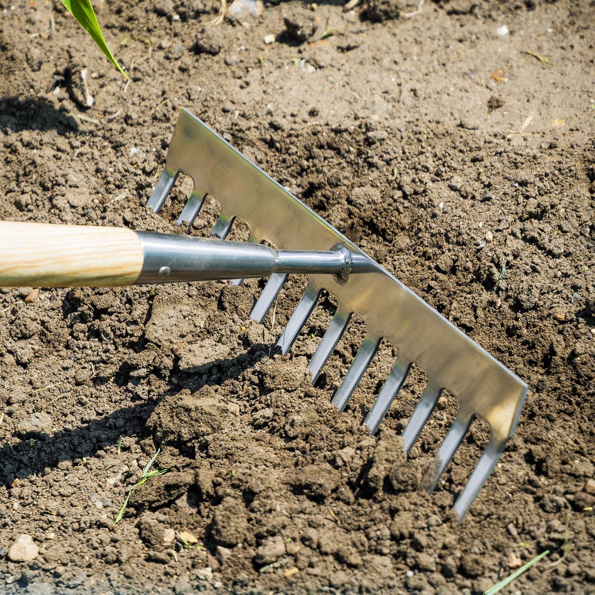 Sealey Premier Garden Rake with Long Ash Handle & Stainless Steel Tines GTWH011