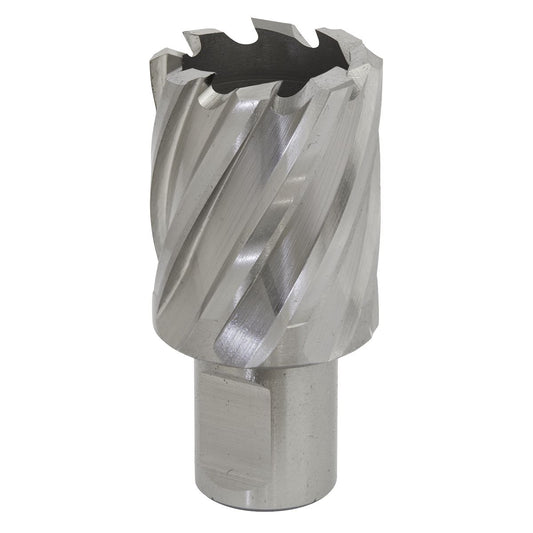 Sealey Rotabor Cutter HSS 29mm - Cut Depth 25mm RBHSS29S