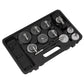 Sealey Brake & Clutch Pressure Bleeder Cap Set 10pc VS0204D