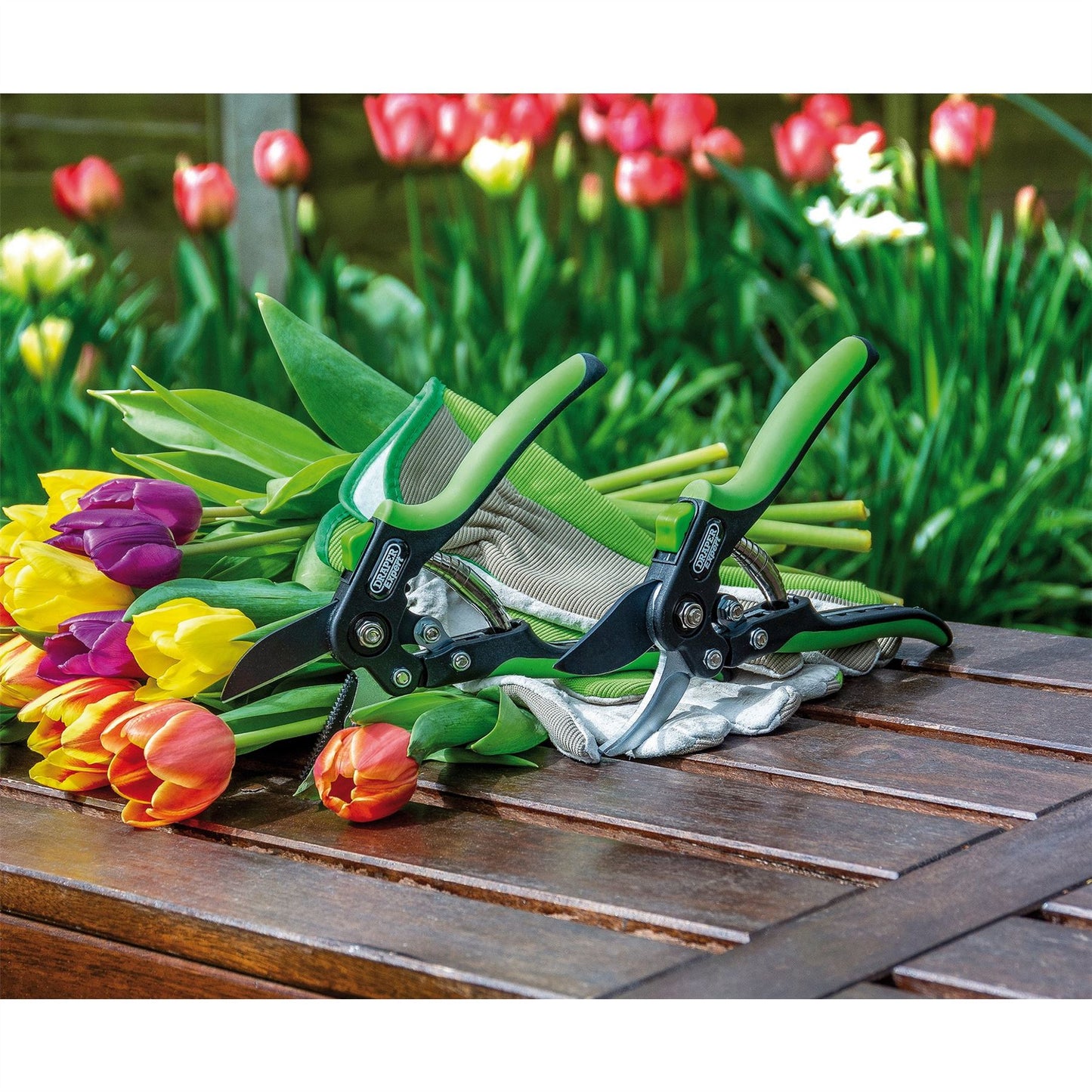 Draper Anvil Pattern Secateur (200mm) GASE2 - 94983
