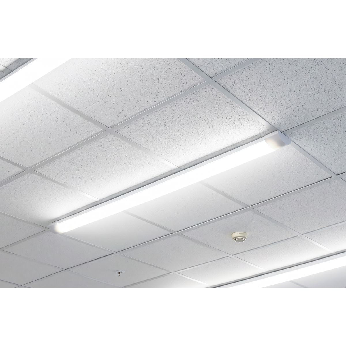 Sealey 5ft Batten Light 50W SMD LED 230V LED50BL