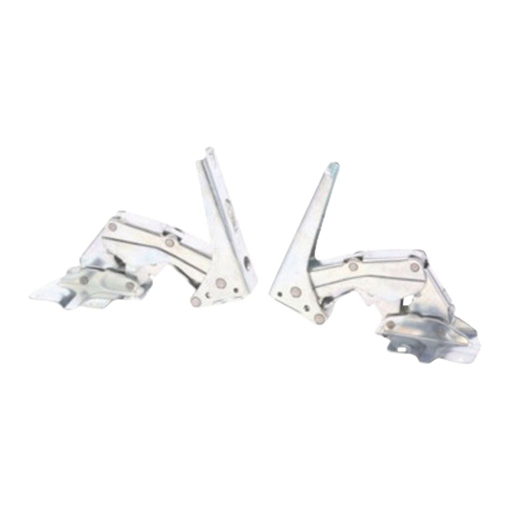 Bosch/Siemens Hinge-door 12004051