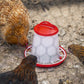 Sealey Poultry Feeder 1.5kg AFT02