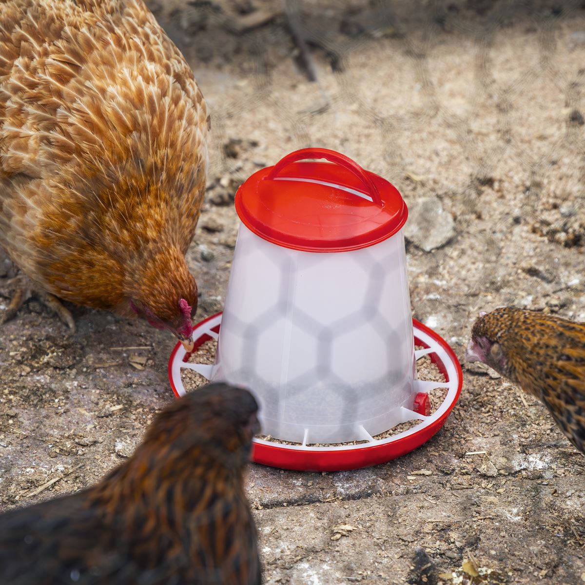 Sealey Poultry Feeder 1.5kg AFT02