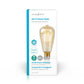 Nedis WiFi Smart LED Filament Bulb E27 ST64 5W 500 lm WIFILF10GDST64