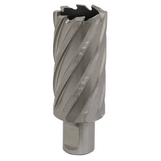 Sealey Rotabor Cutter HSS 31mm - Cut Depth 50mm RBHSS31L