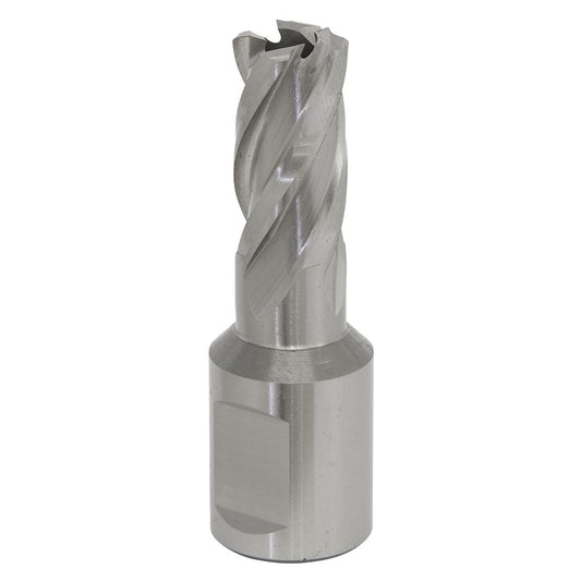Sealey Rotabor Cutter HSS 12mm - Cut Depth 25mm RBHSS12S
