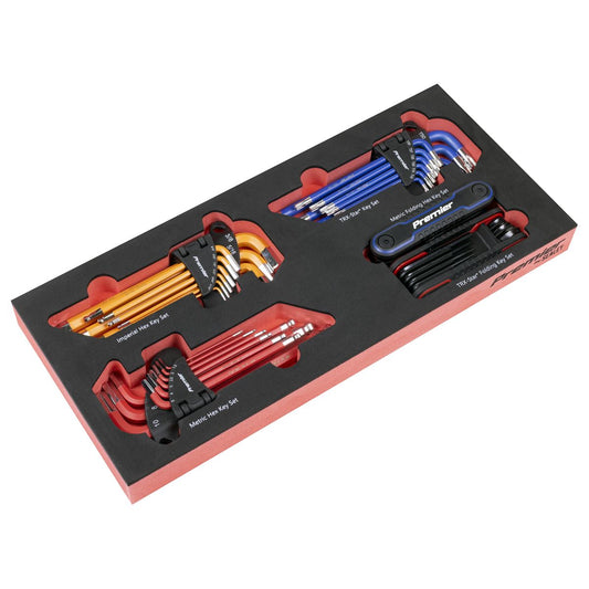 Sealey Premier Master Key Set with Tool Tray 43pc TBT62