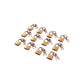 12 Piece 20mm Brass Padlock 2 Keys Luggage Heavy Duty Garage Shed Gate Suitcase - T0790