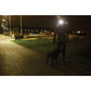 Draper Beanie Hat with 1W Rechargeable Torch - 100 Lumens (Black, One Size) - 99521