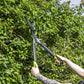 Sealey Hedge Shears with Soft Grip Handle & Carbon Steel Blade GTSG018