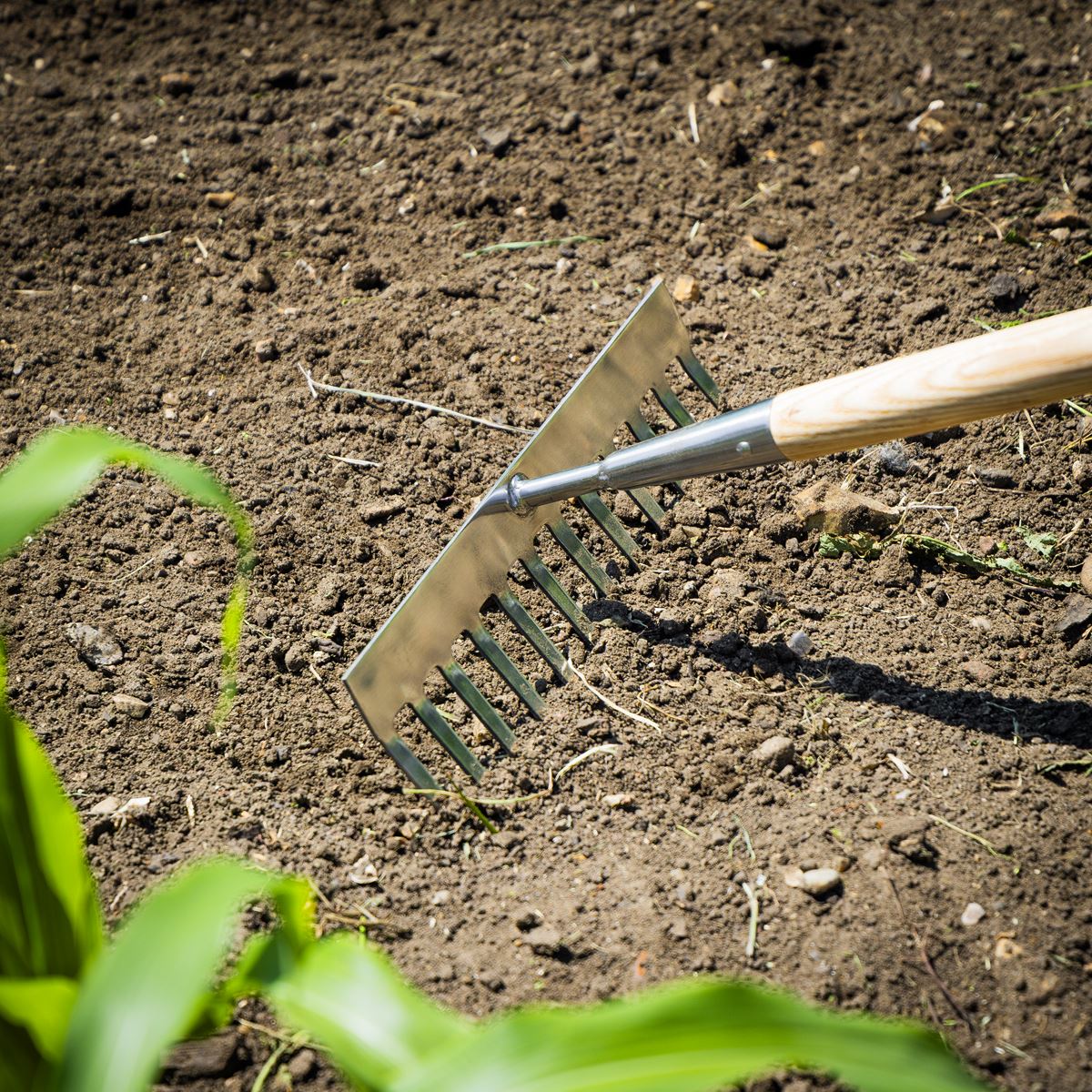 Sealey Premier Garden Rake with Long Ash Handle & Stainless Steel Tines GTWH011