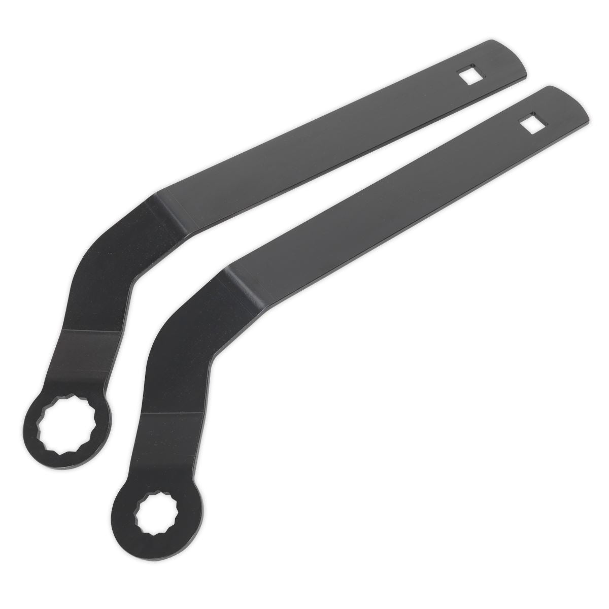 Sealey Auxiliary Belt Tensioner Spanner Set - for BMW Mini VSE6211