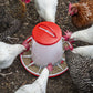 Sealey Poultry Feeder 6kg AFT04