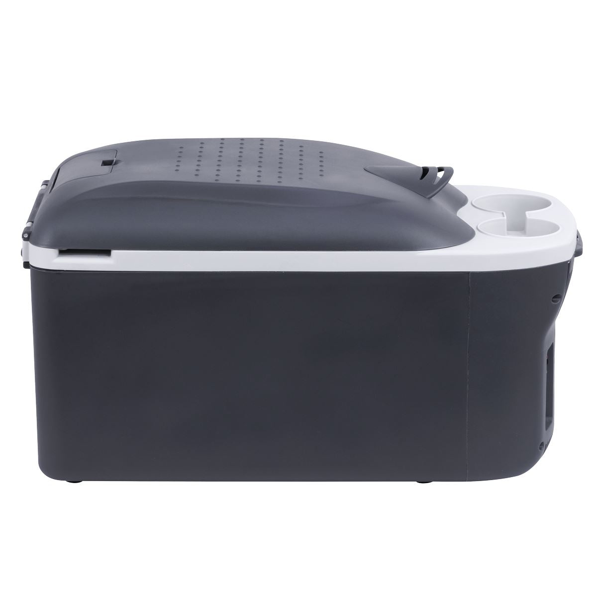 Dellonda 16L Portable Cool Box 12V/230V DL167