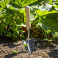 Sealey Premier Hand Trowel with Ash Handle & Stainless Steel Blade GTWH003