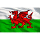Sealey Toolbox Graphics Pack - Wales APTBG03