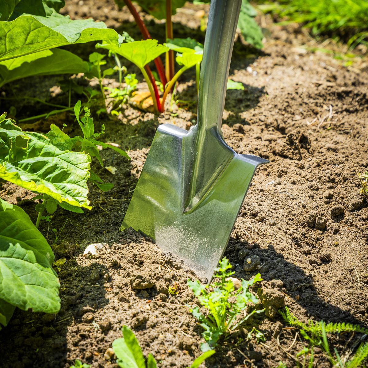 Sealey Premier Border Spade with Ash Y Handle & Stainless Steel Blade GTWH017