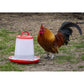 Sealey Poultry Feeder 3kg - Pack of 3 AFT033