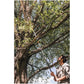 Fiskars Anvil Tree Pruner (UP53)