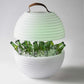 Nikki.Amsterdam The.Bowl Bluetooth Speaker Lamp and Winecooler