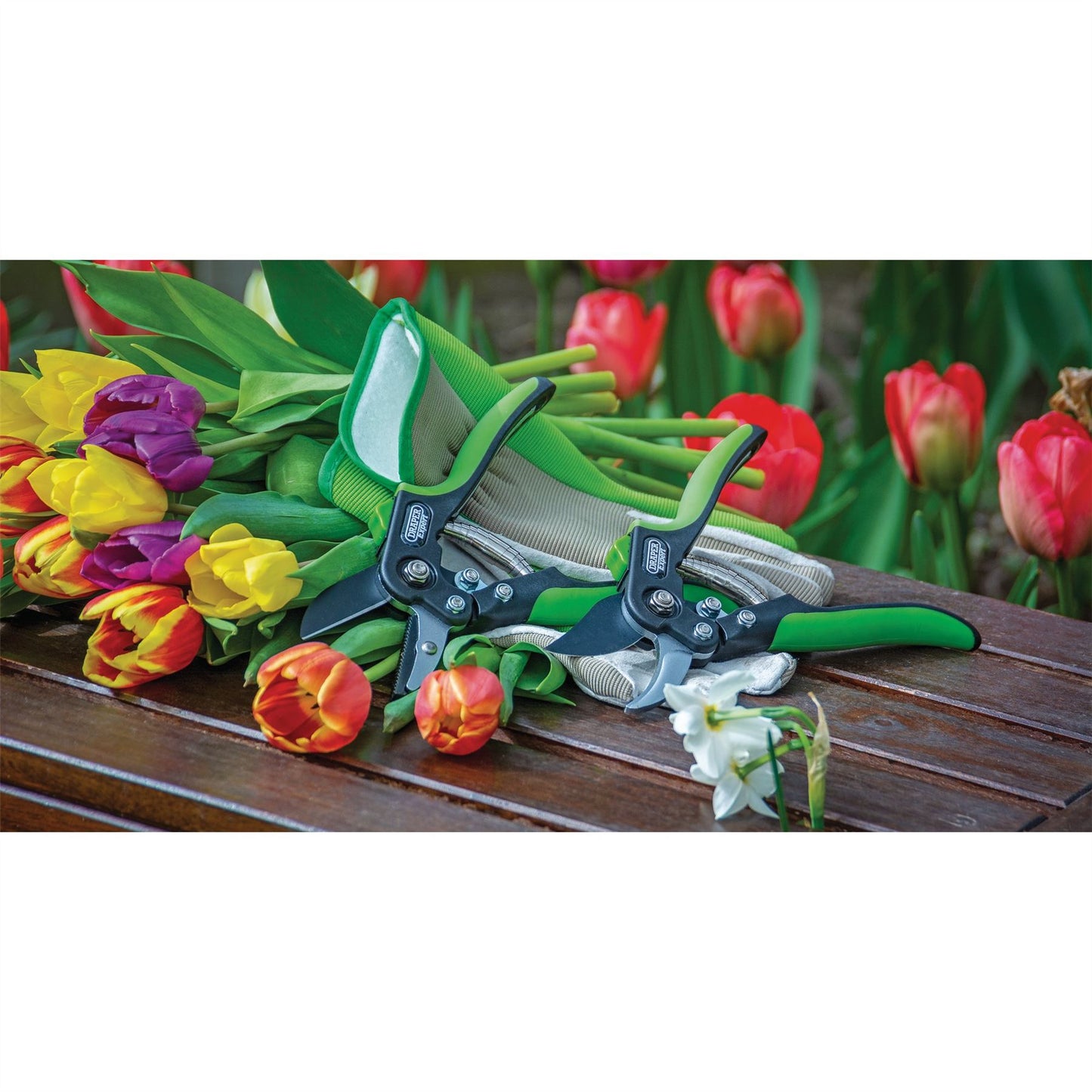 Draper Anvil Pattern Secateur (200mm) GASE2 - 94983