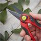 CK Tools Classic Maxima Pruning Snips G5634
